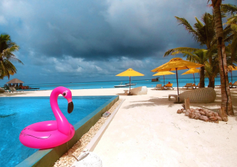 Bild Traumziel Malediven Reisebericht