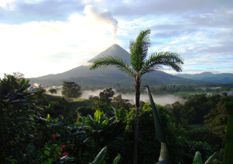 Bild Pura Vida in Costa Rica Reisebericht