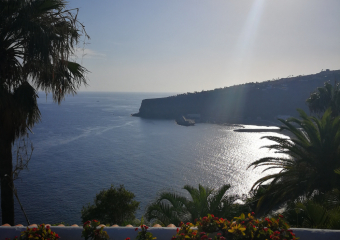 Bild Teneriffa & La Gomera- die Inseln des ewigen Frühlings Reisebericht