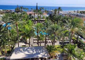 Bild Gran Canaria, Insel des ewigen Frühlings Reisebericht