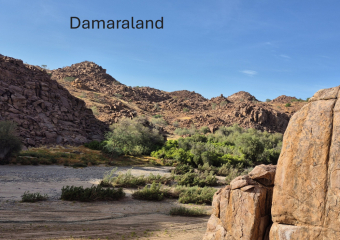 Bild Endlose Weiten & wilde Tiere - Rundreise durch Namibia Reisebericht