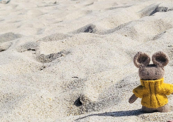 Bild Lola entdeckt Miami, Florida & die Bahamas Reisebericht