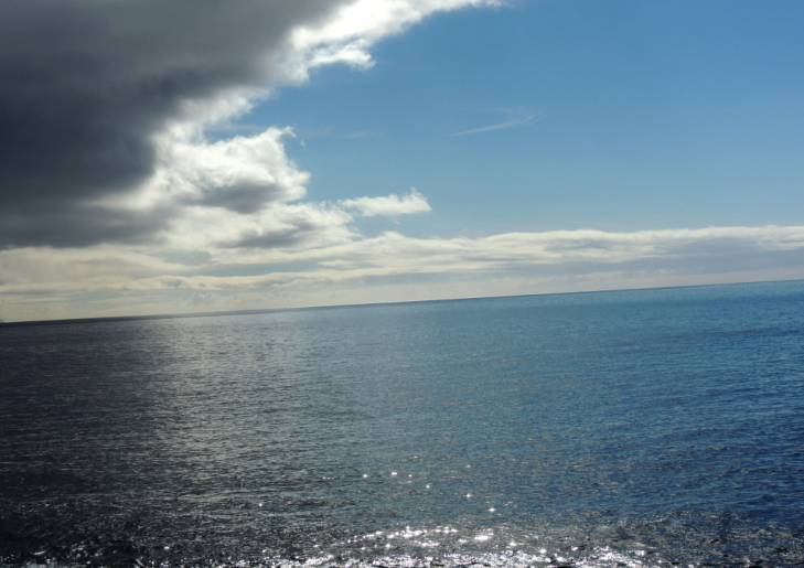 madeira-februar-2016-980 madeira-februar-2016-980