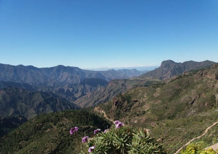 Gran Canaria hautnah erleben Gran Canaria hautnah erleben
