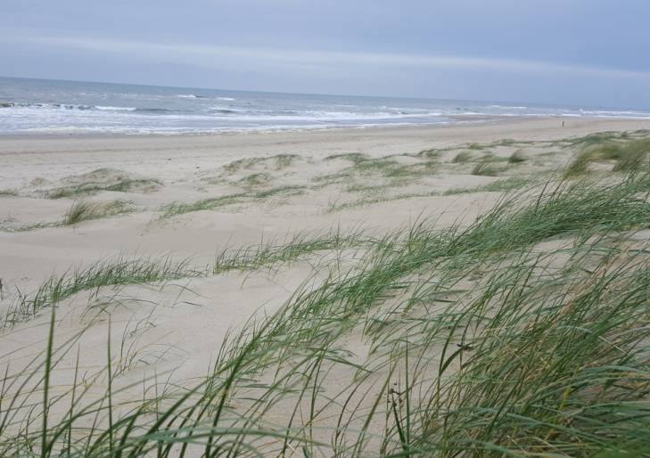 Strand-Texel Strand-Texel