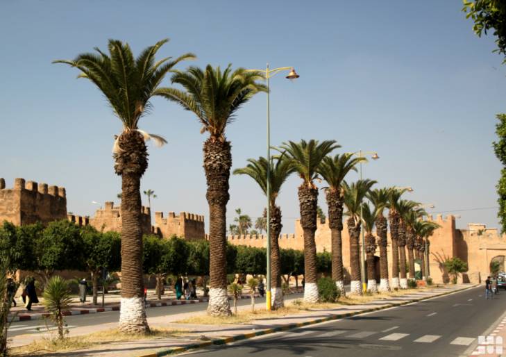 Marokko Taroudant Oasenstadt Marokko Taroudant Oasenstadt