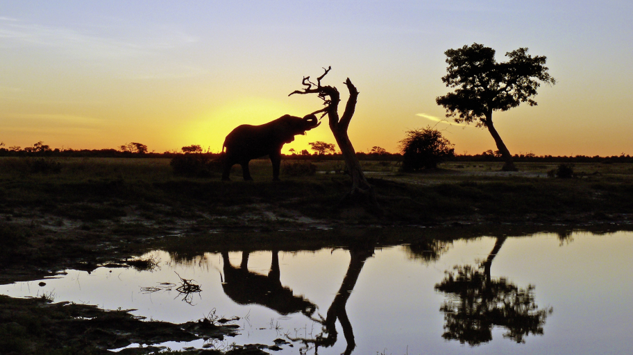 Suedafrika-Botswana-Simbabwe