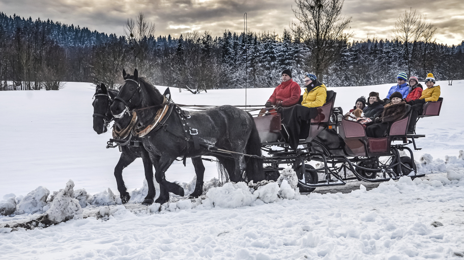 OOE Reiten 0024