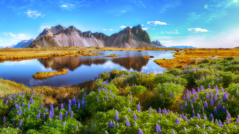 Island Natur
