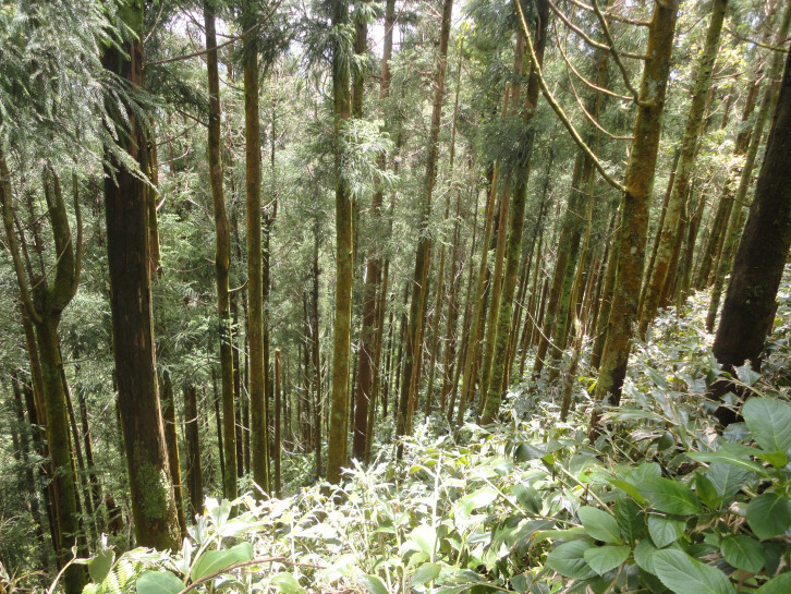 original Wanderung Lagoa Cete Cidades 5 