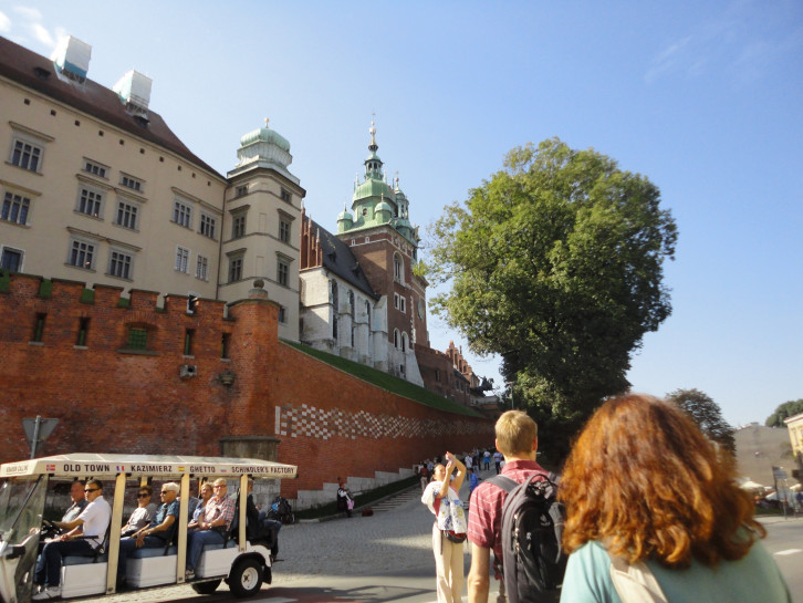 original Wawel-Kathedrale I