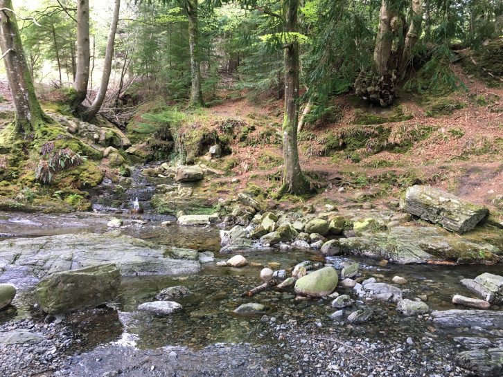 original Irland 3