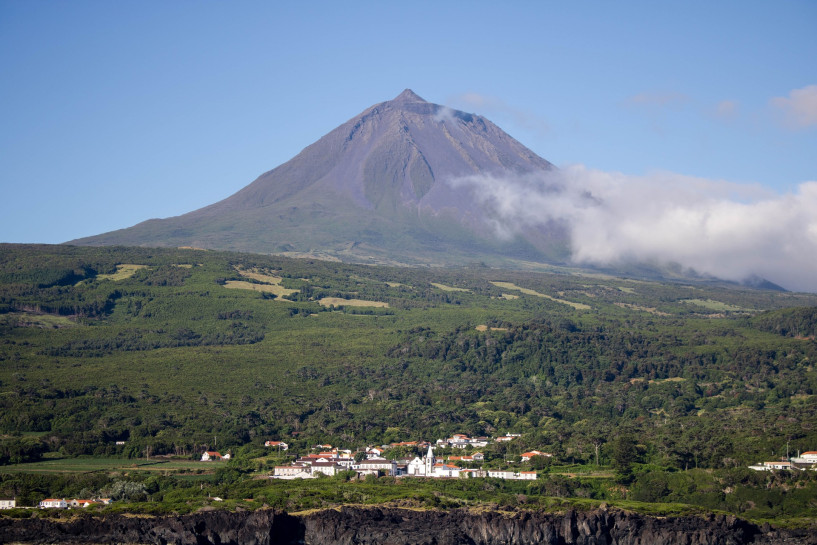 original pixabay -pico