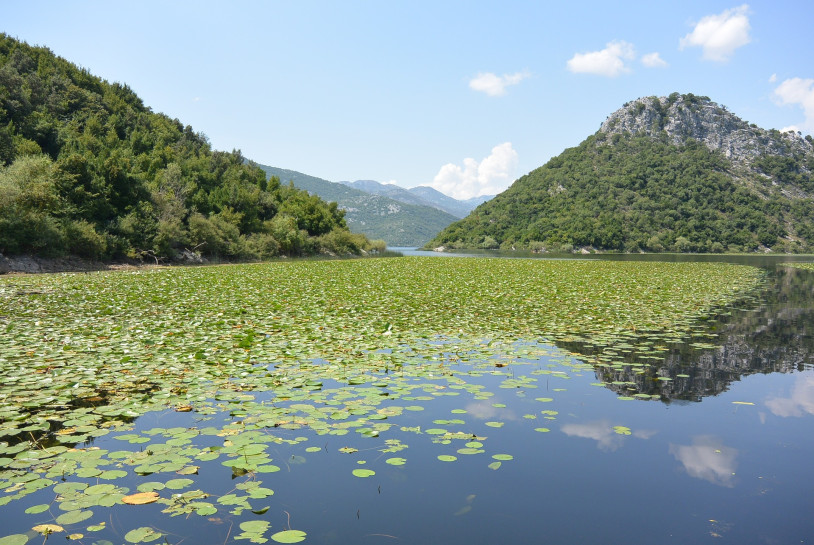 original pixabay skutarisee