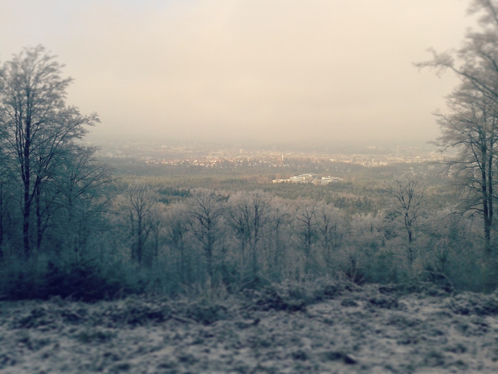 original pixabay kaiserslautern 3