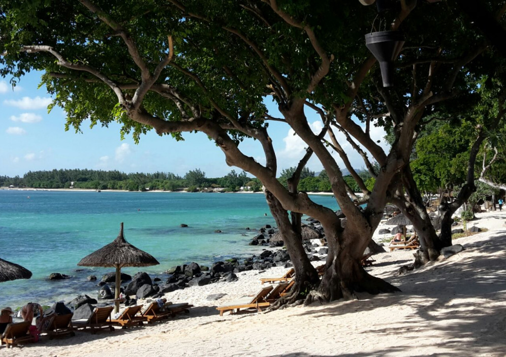Bild von Mauritius - Insel im indischen Ozean