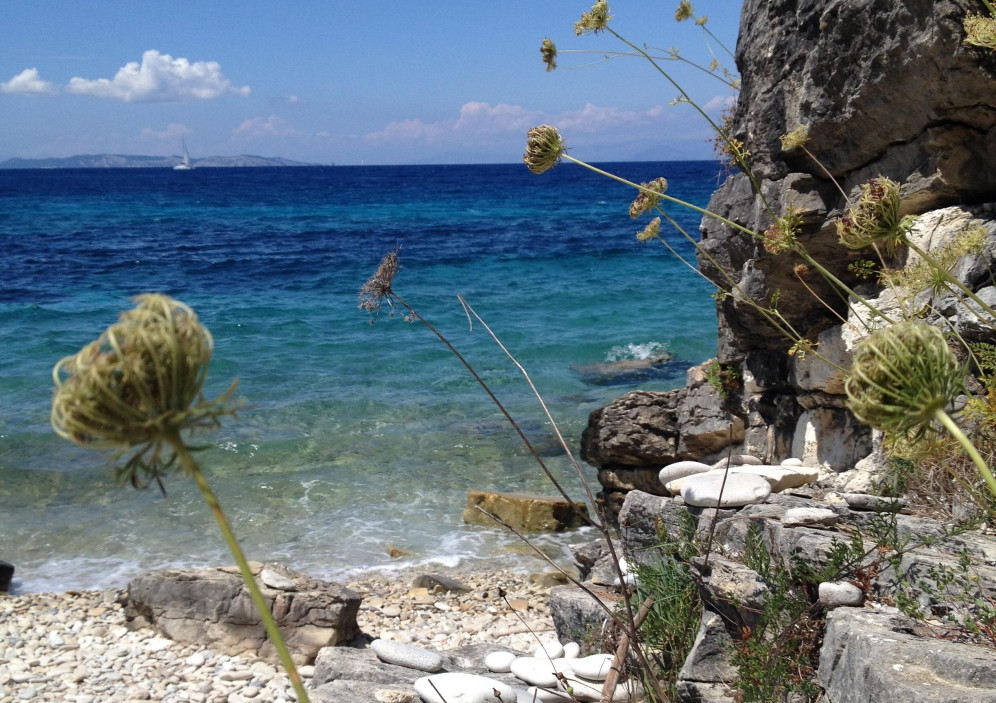 Bild von Paxos - uralte Olivenbäume und Türkisfarbene Buchten 
