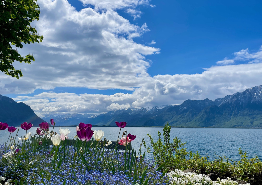 Montreux Riviera