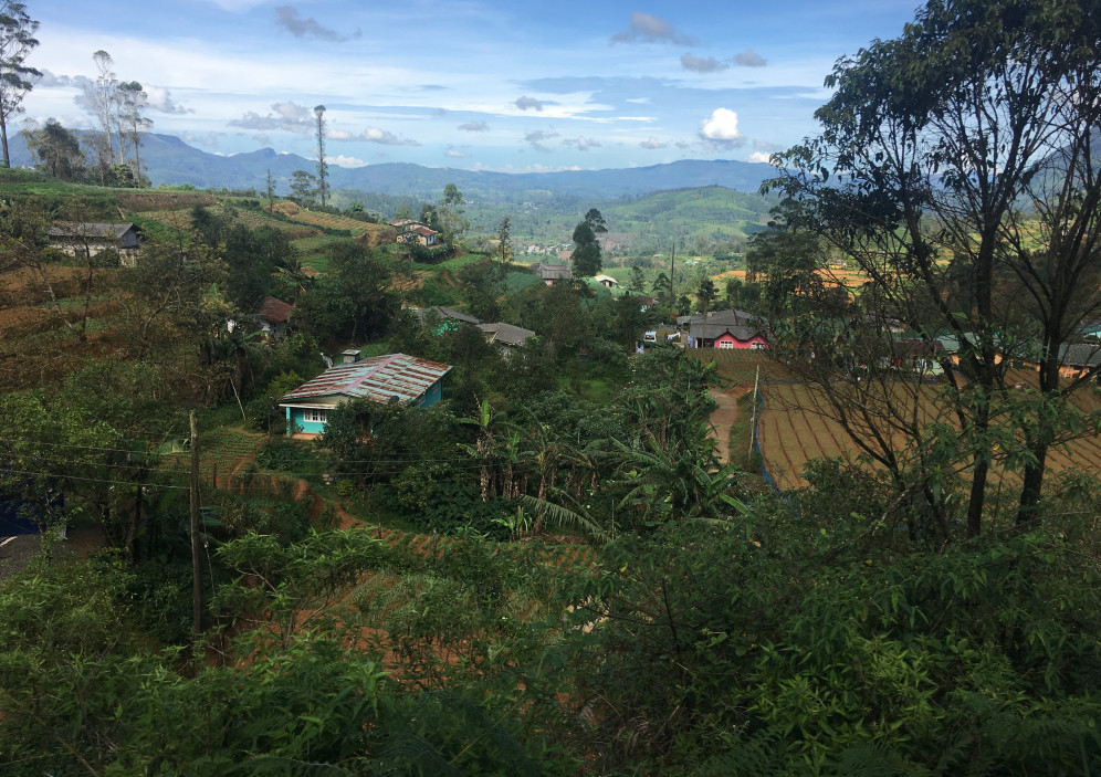 Bild von Sri Lanka - zwischen Strand und Dschungel