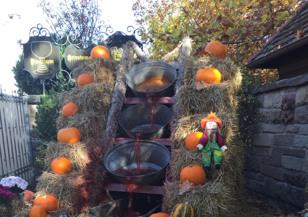 Bild von Freizeitpark Tripsdrill