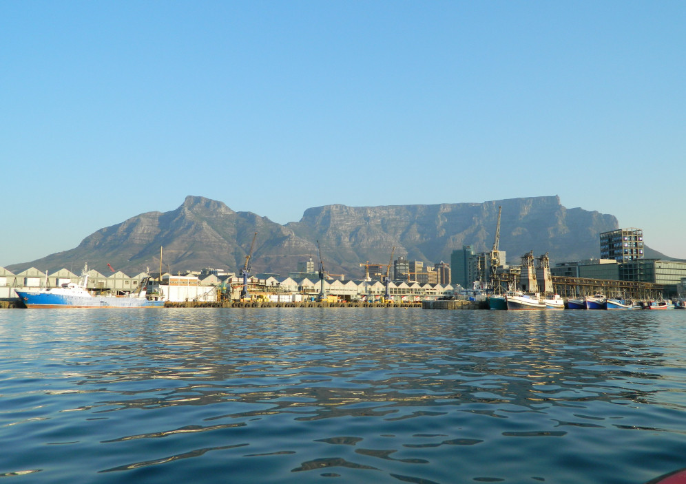 Bild von Elefanten, Pinguine & die schönste Stadt der Welt - Urlaub in Südafrika