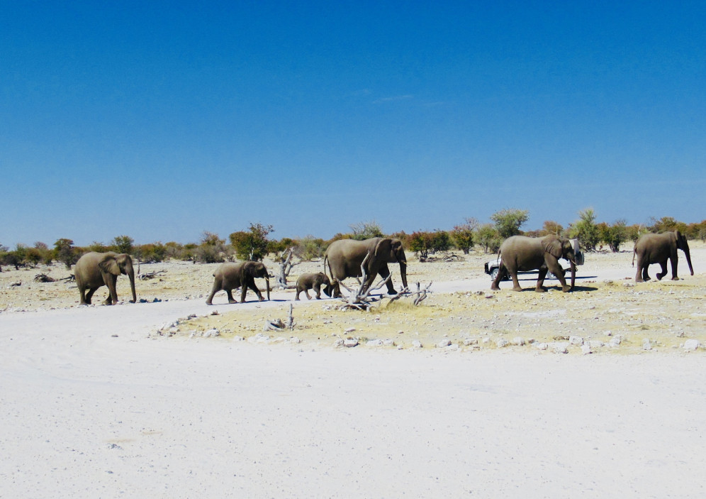 Bild von Namibia - Wanderrundreise in Afrika