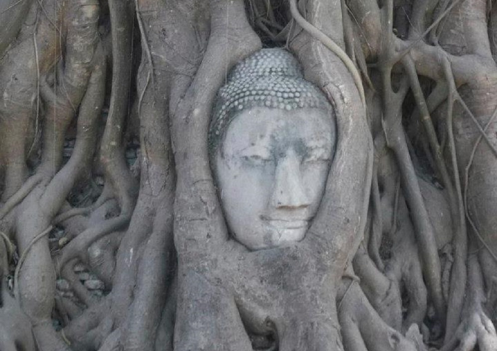 Bild von Das Land des Lächelns: Thailand 