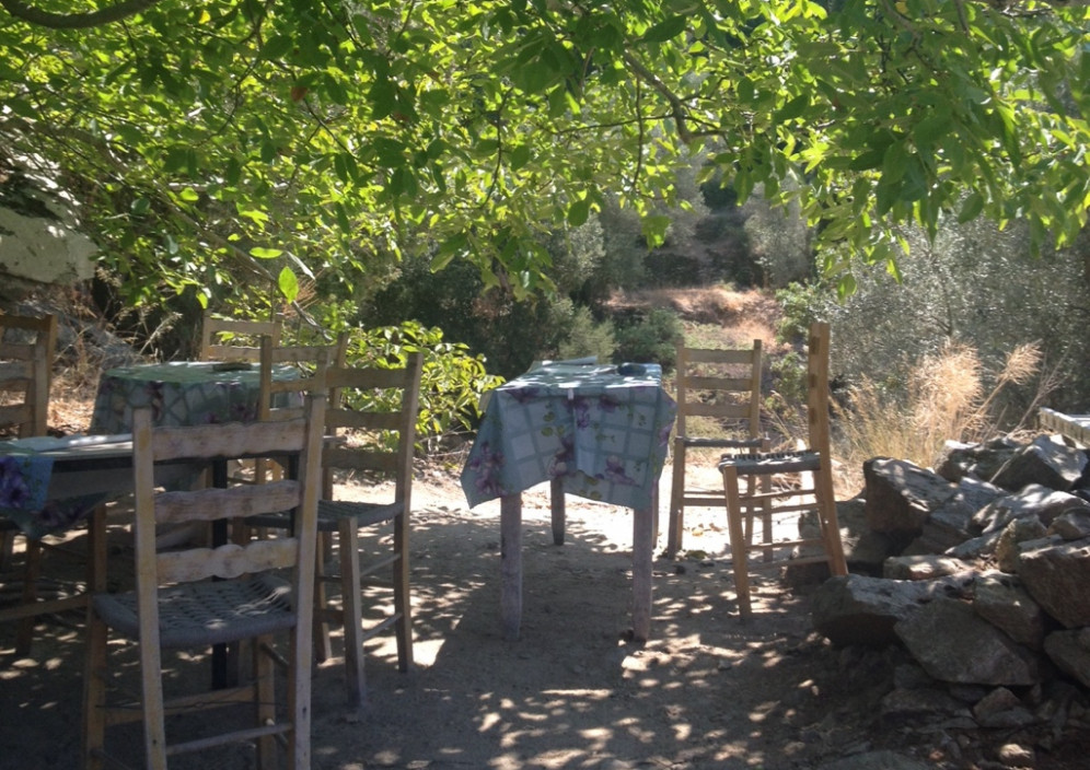 Bild von Ikaria - Lieblingsinsel