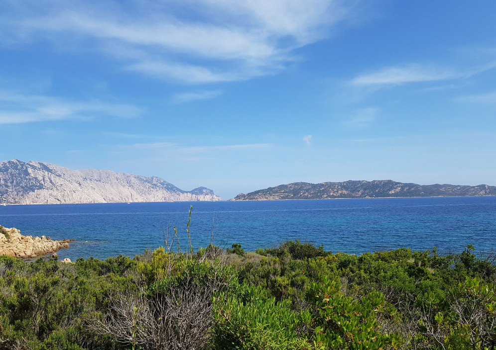Bild von Sardinien - Geheimtipp im Mittelmeer