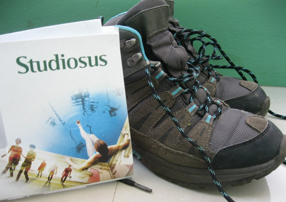 Bild von Kapverden Wanderreise mit Studiosus