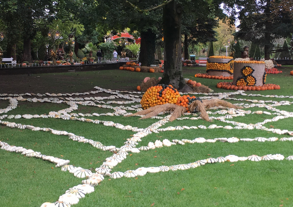 Bild von 2 Tage Europa-Park und eine kurze Zwischenübernachtung in Straßburg 