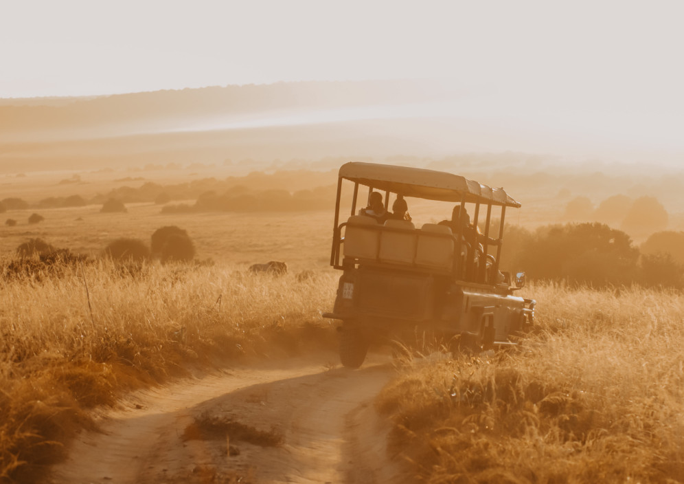 Bild von Südafrika - Gardenroute