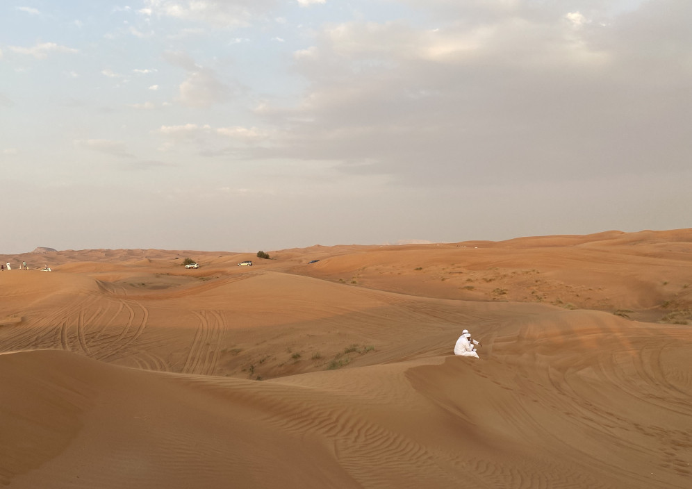 Wueste Dubai