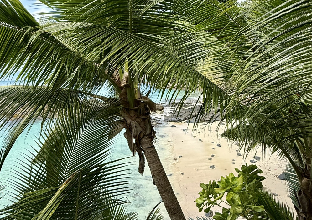 Bild von Traumziel Seychellen