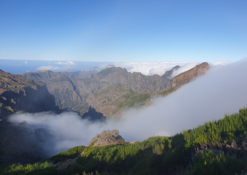 Bild von Madeira- die Blumeninsel im Atlantik