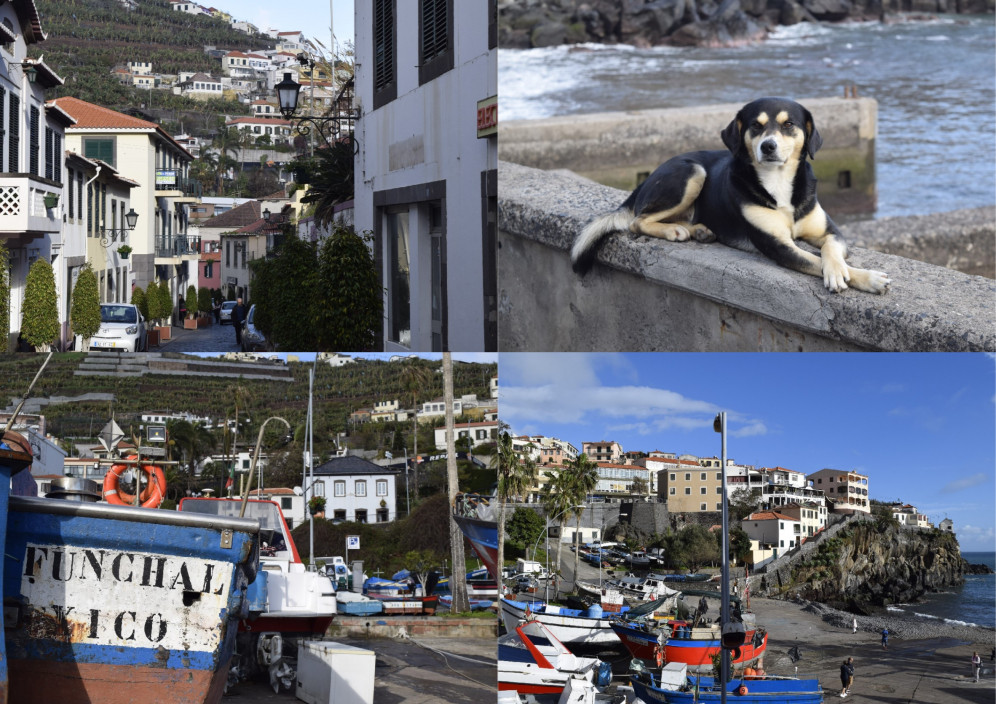 Bild von Madeira - Die Insel des ewigen Frühlings