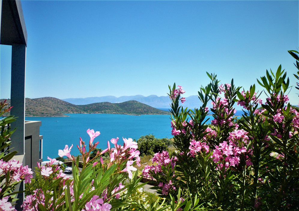 Bild von Inforeise Kreta