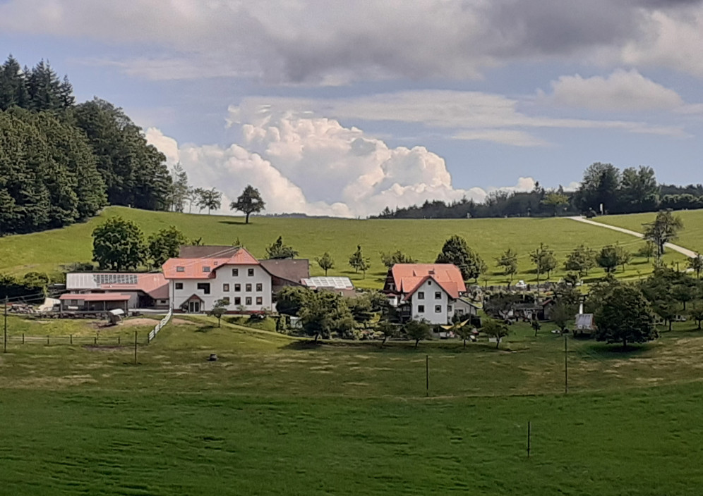 Bild von Urlaub auf dem Bauernhof