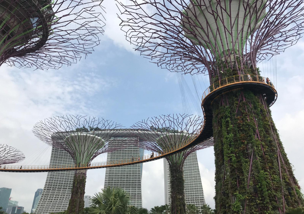 Bild von Singapur: wo Cocktails und Kolonialcharme aufeinandertreffen 
