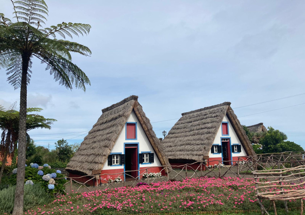 Bild von Mit dem Mietwagen auf Madeira Erkundung