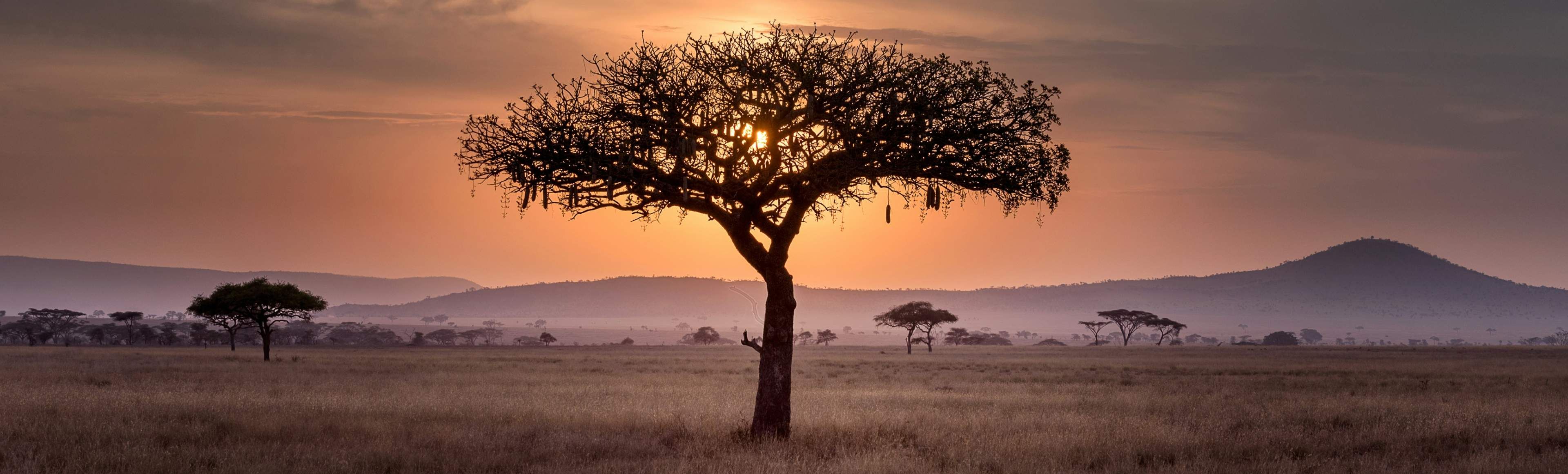 Afrika