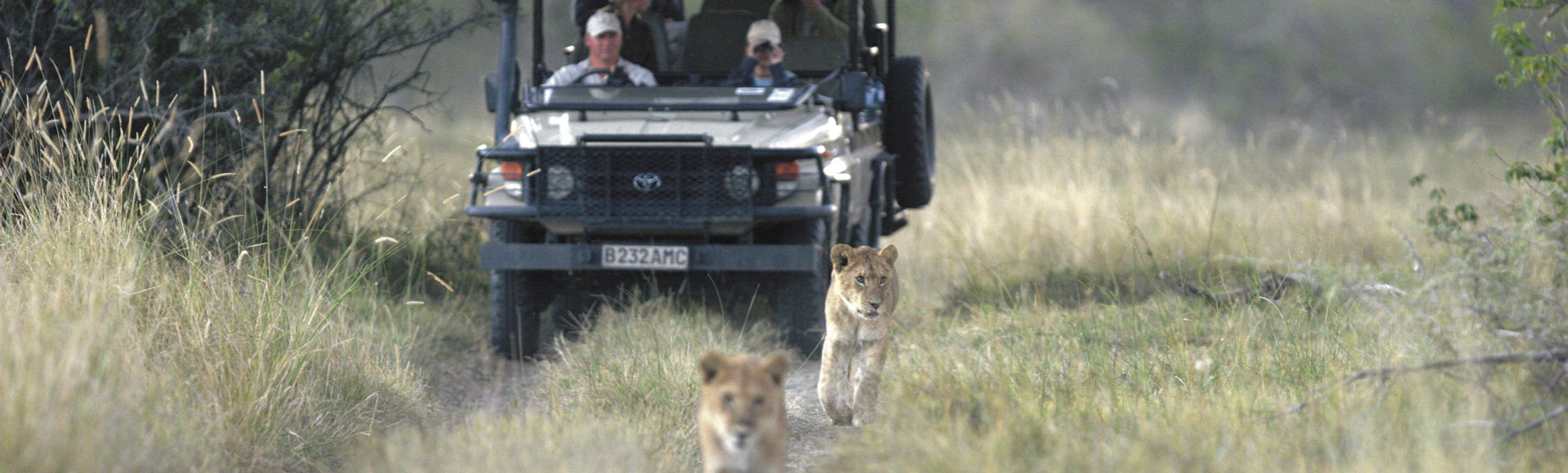 Afrika-Jeep_Loewen_1