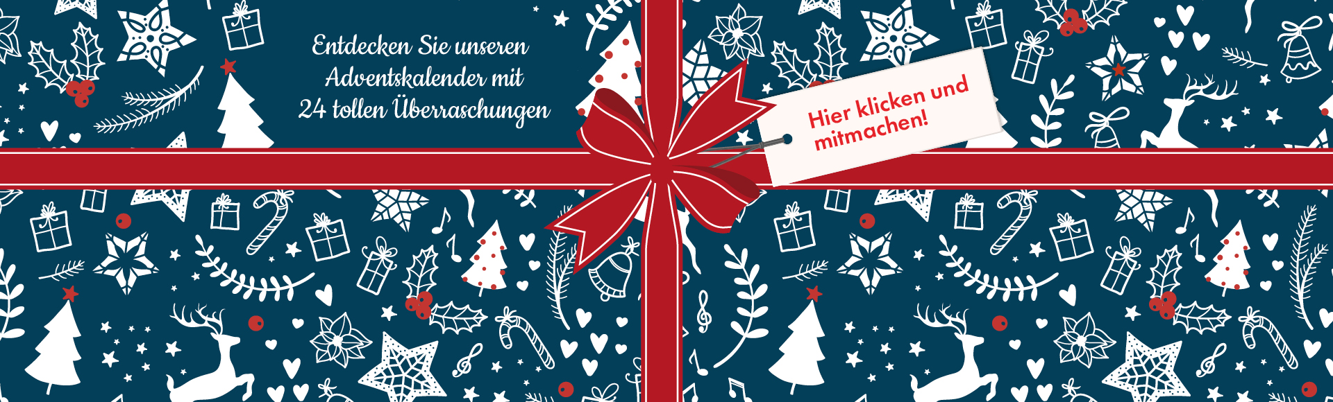 HOLA_Weihnachten_25_Webseiten_Banner-2