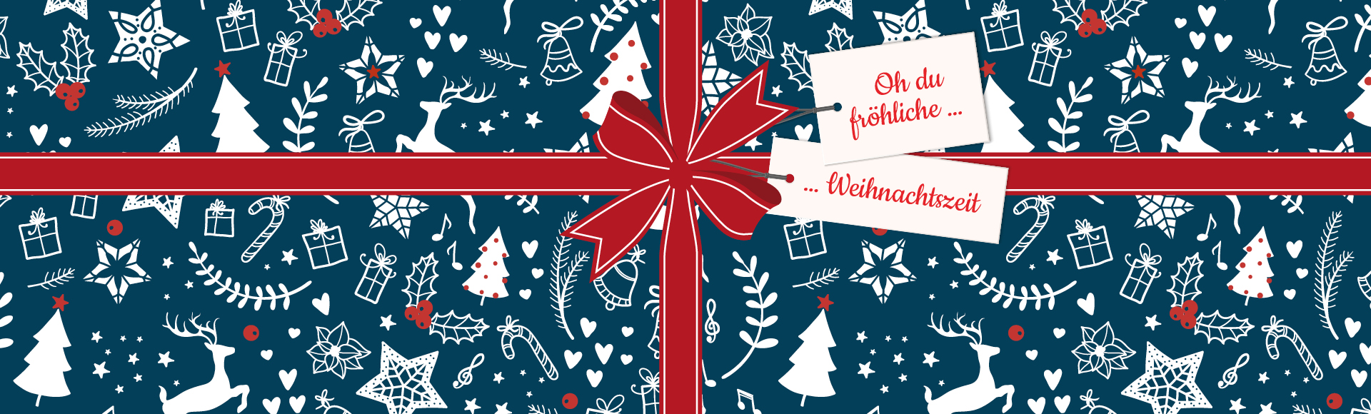 HOLA_Weihnachten_25_Webseiten_Banner-1