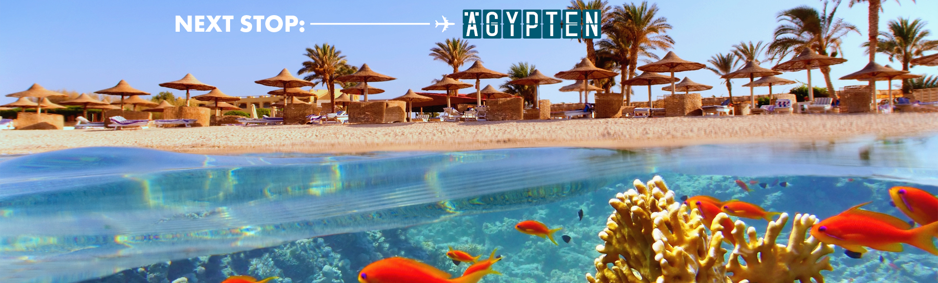 Next_Stop_Website_Header_1920_580__gypten